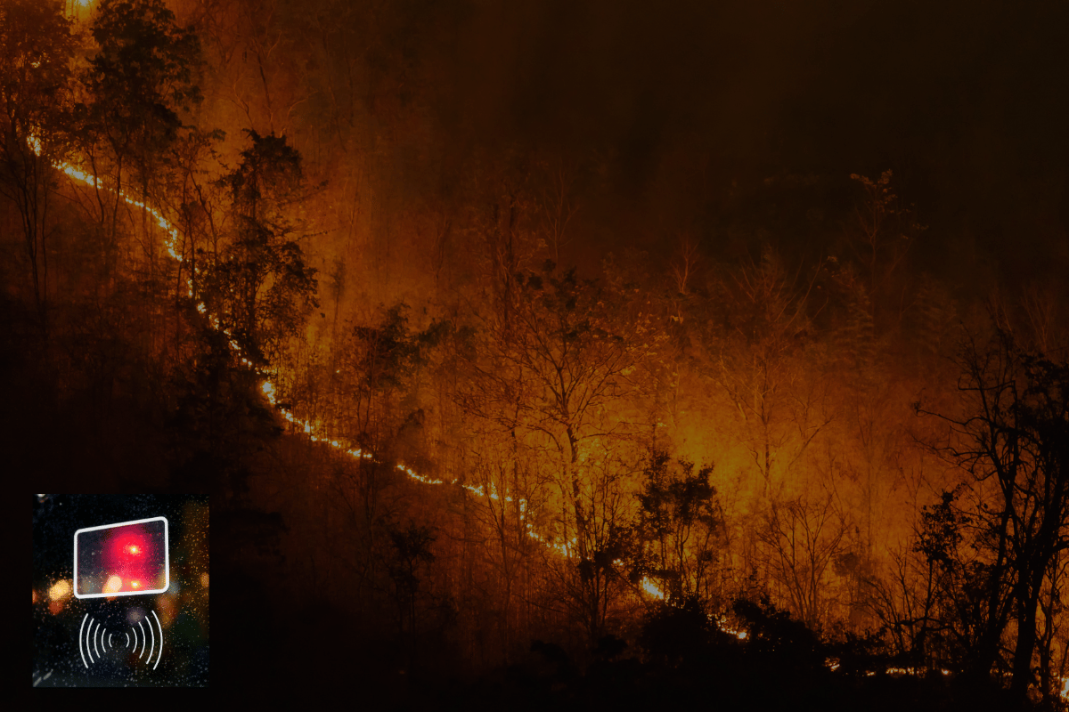 AI-powered sensors installed in the parts of Peninsula to detect wildfires and alert first responders, enhancing community safety.