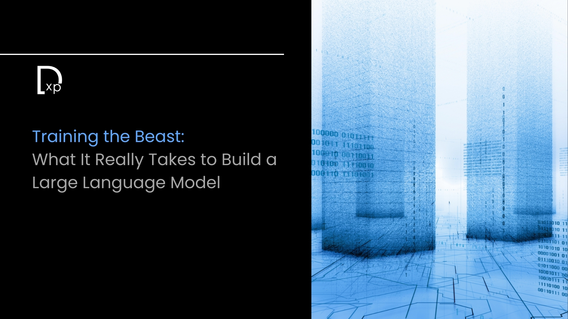 Training the Beast: What It Really Takes to Build a Large Language Model