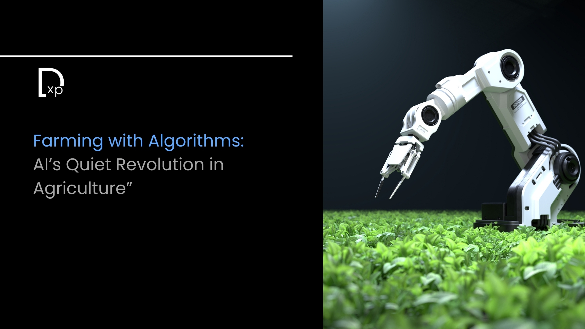Farming with Algorithms: AI’s Quiet Revolution in Agriculture
